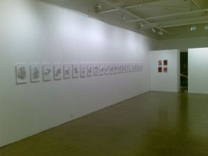 Installation view at ANCA